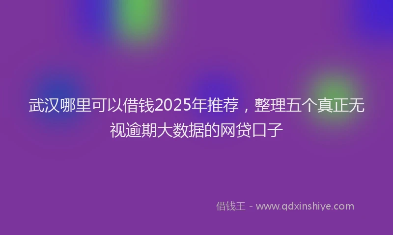武汉哪里可以借钱2025年推荐，整理五个真正无视逾期大数据的网贷口子