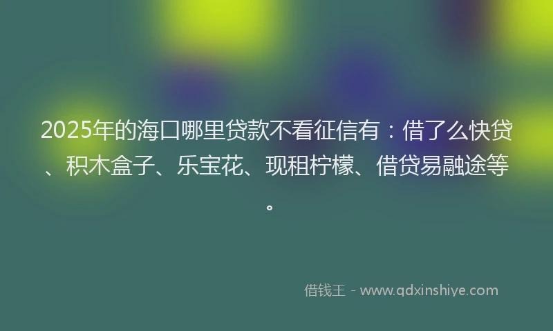 2025年的海口哪里贷款不看征信有：借了么快贷、积木盒子、乐宝花、现租柠檬、借贷易融途等。
