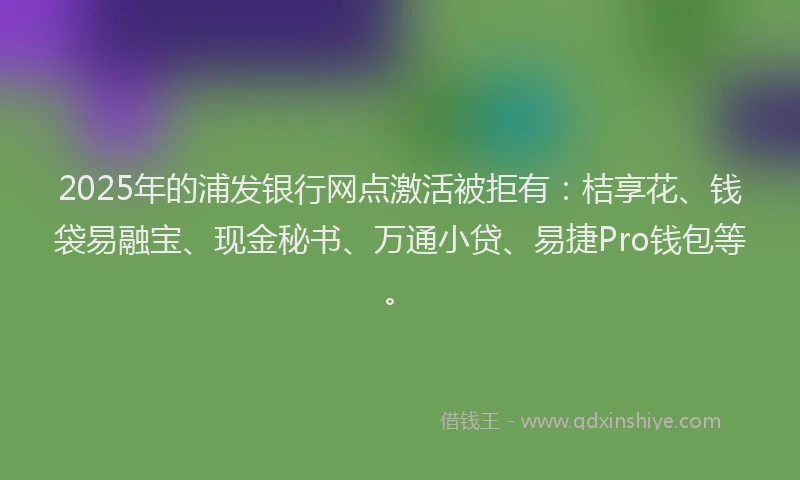 2025年的浦发银行网点激活被拒有：桔享花、钱袋易融宝、现金秘书、万通小贷、易捷Pro钱包等。