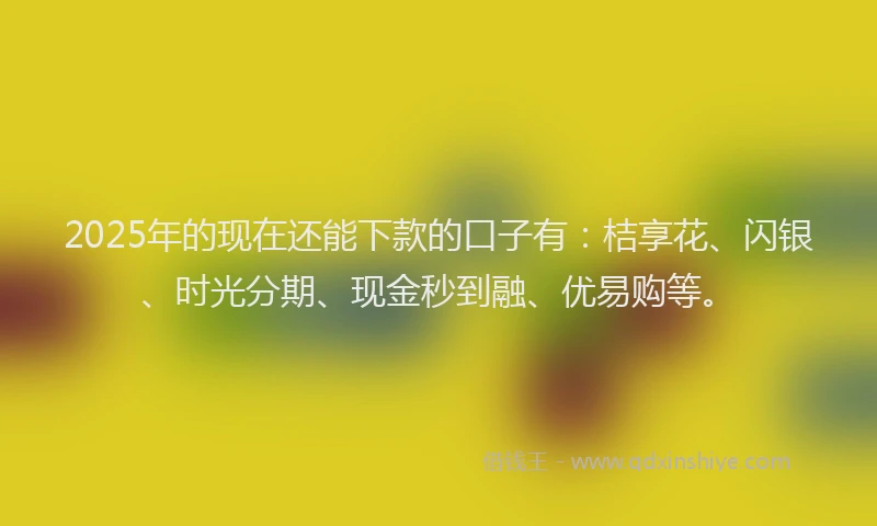 2025年的现在还能下款的口子有：桔享花、闪银、时光分期、现金秒到融、优易购等。