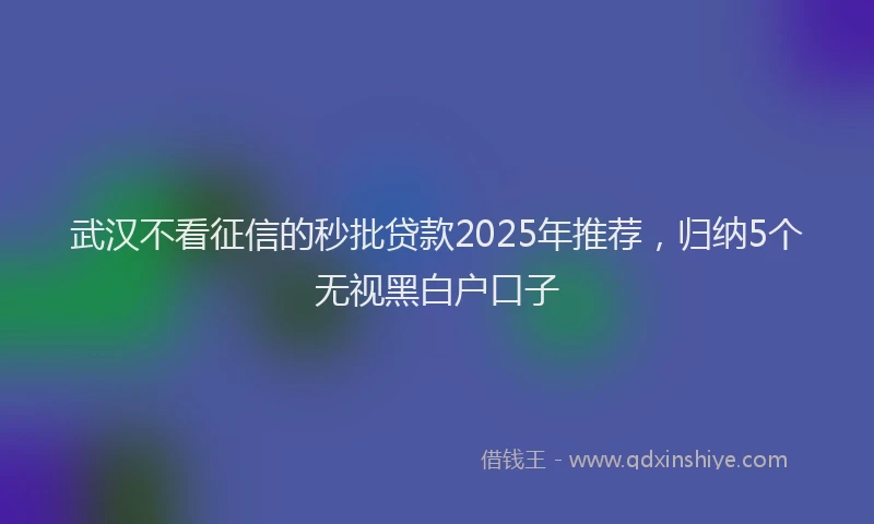 武汉不看征信的秒批贷款2025年推荐，归纳5个无视黑白户口子