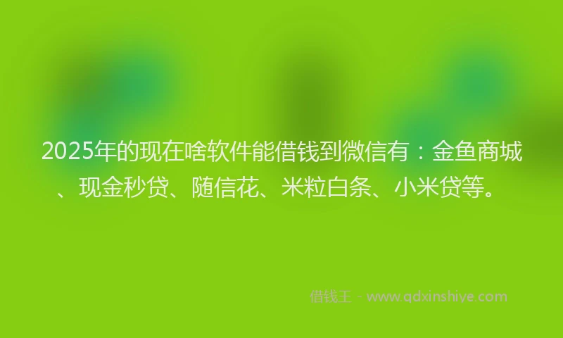 2025年的现在啥软件能借钱到微信有：金鱼商城、现金秒贷、随信花、米粒白条、小米贷等。