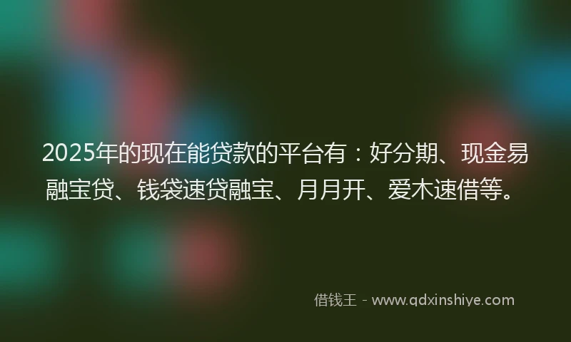 2025年的现在能贷款的平台有：好分期、现金易融宝贷、钱袋速贷融宝、月月开、爱木速借等。
