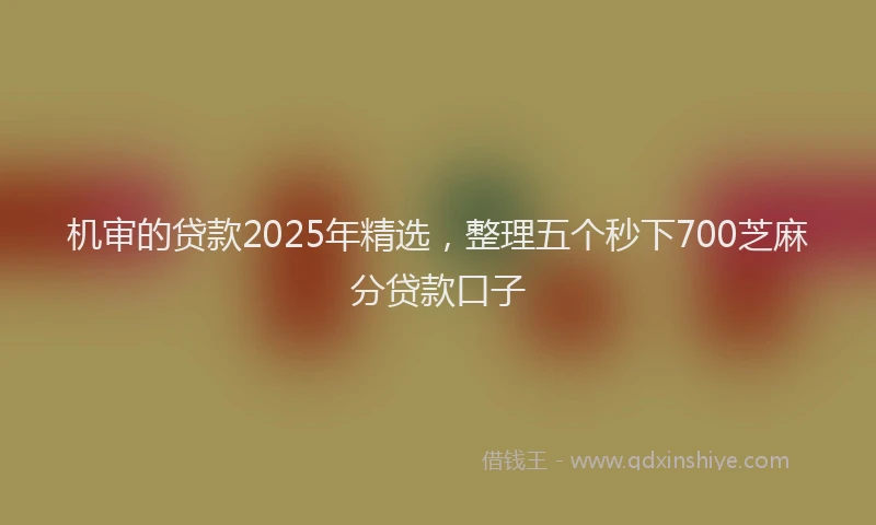 机审的贷款2025年精选，整理五个秒下700芝麻分贷款口子