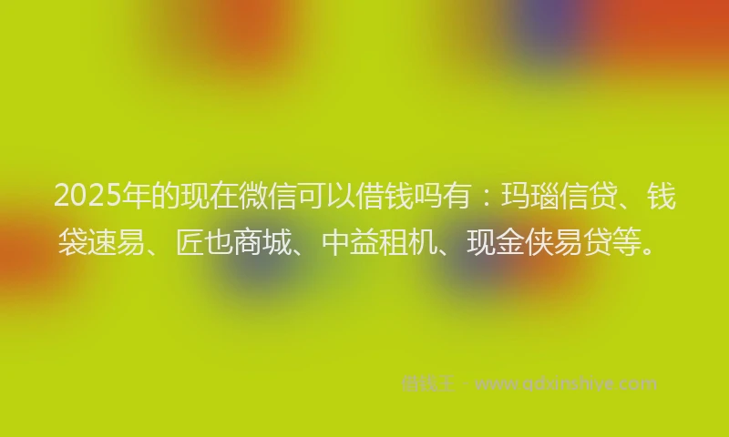 2025年的现在微信可以借钱吗有：玛瑙信贷、钱袋速易、匠也商城、中益租机、现金侠易贷等。