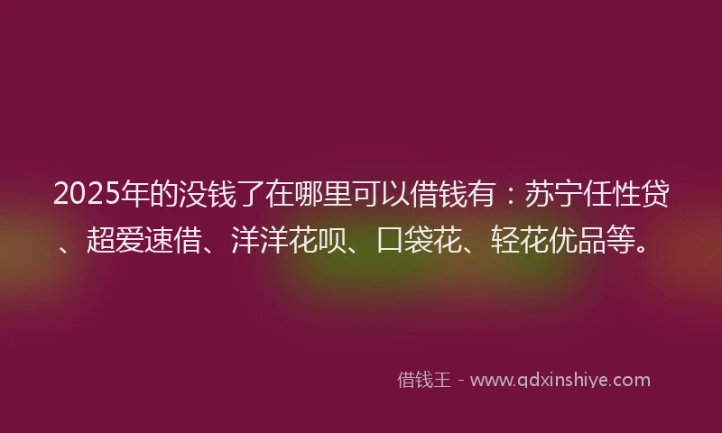 2025年的没钱了在哪里可以借钱有：苏宁任性贷、超爱速借、洋洋花呗、口袋花、轻花优品等。