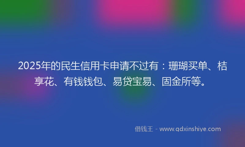2025年的民生信用卡申请不过有：珊瑚买单、桔享花、有钱钱包、易贷宝易、固金所等。