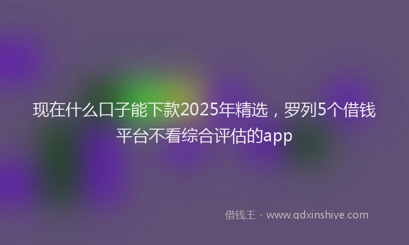 现在什么口子能下款2025年精选，罗列5个借钱平台不看综合评估的app