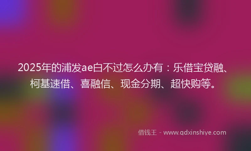 2025年的浦发ae白不过怎么办有：乐借宝贷融、柯基速借、喜融信、现金分期、超快购等。