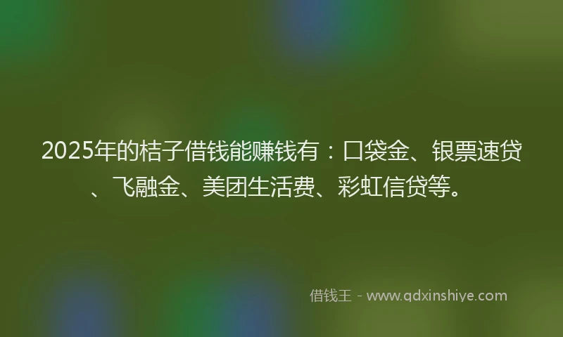 2025年的桔子借钱能赚钱有：口袋金、银票速贷、飞融金、美团生活费、彩虹信贷等。