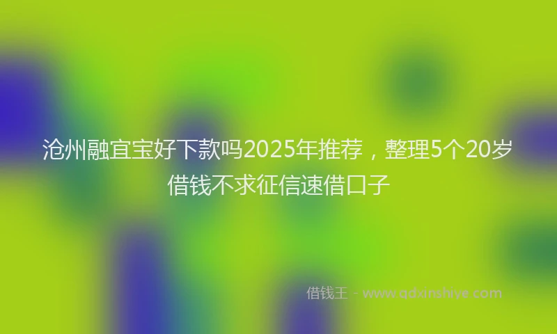 沧州融宜宝好下款吗2025年推荐，整理5个20岁借钱不求征信速借口子