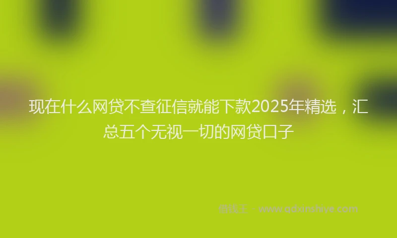 现在什么网贷不查征信就能下款2025年精选，汇总五个无视一切的网贷口子