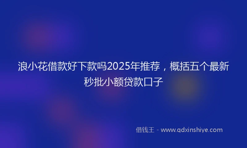 浪小花借款好下款吗2025年推荐，概括五个最新秒批小额贷款口子