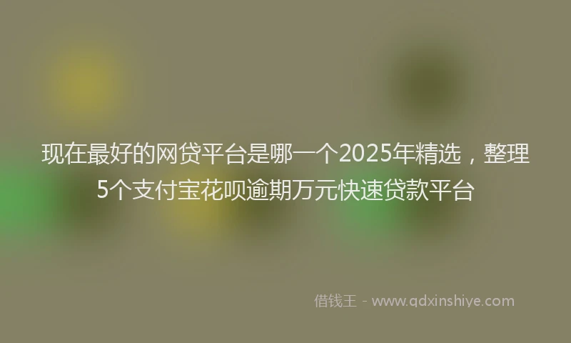 现在最好的网贷平台是哪一个2025年精选，整理5个支付宝花呗逾期万元快速贷款平台