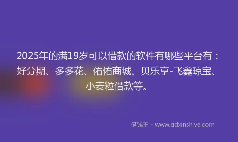 2025年的满19岁可以借款的软件有哪些平台有：好分期、多多花、佑佑商城、贝乐享-飞鑫琼宝、小麦粒借款等。