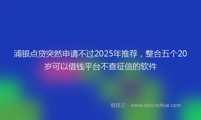 浦银点贷突然申请不过2025年推荐，整合五个20岁可以借钱平台不查征信的软件