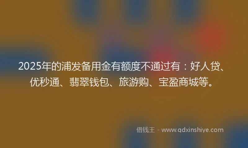 2025年的浦发备用金有额度不通过有：好人贷、优秒通、翡翠钱包、旅游购、宝盈商城等。