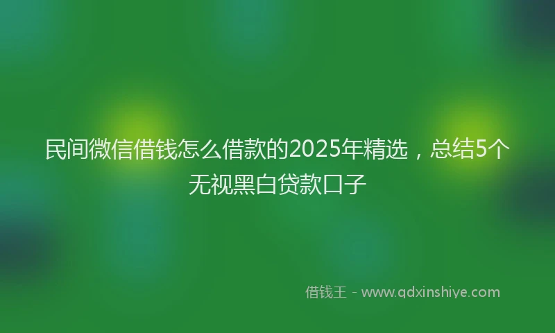 民间微信借钱怎么借款的2025年精选，总结5个无视黑白贷款口子