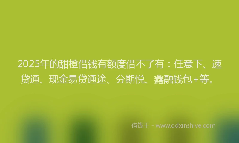 2025年的甜橙借钱有额度借不了有：任意下、速贷通、现金易贷通途、分期悦、鑫融钱包+等。