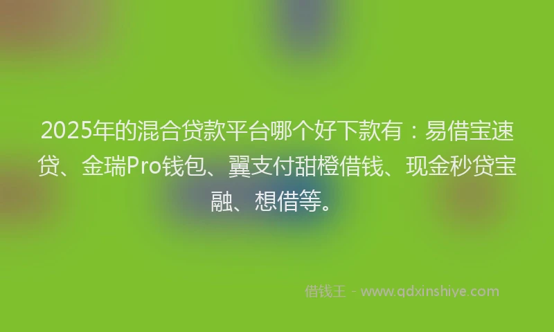 2025年的混合贷款平台哪个好下款有：易借宝速贷、金瑞Pro钱包、翼支付甜橙借钱、现金秒贷宝融、想借等。
