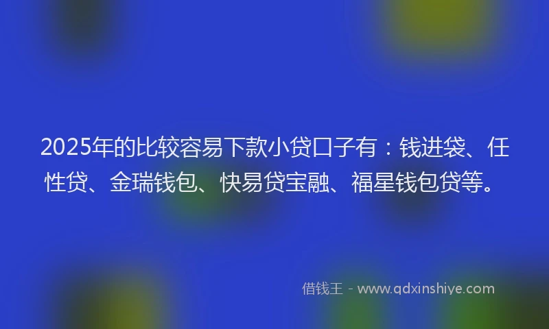 2025年的比较容易下款小贷口子有：钱进袋、任性贷、金瑞钱包、快易贷宝融、福星钱包贷等。