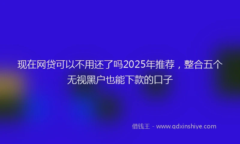 现在网贷可以不用还了吗2025年推荐，整合五个无视黑户也能下款的口子
