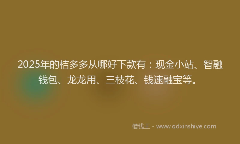 2025年的桔多多从哪好下款有：现金小站、智融钱包、龙龙用、三枝花、钱速融宝等。
