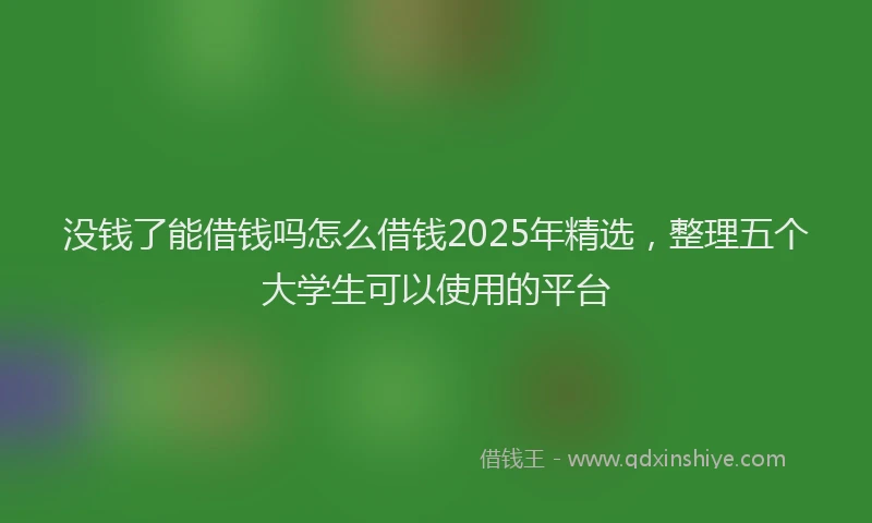 没钱了能借钱吗怎么借钱2025年精选，整理五个大学生可以使用的平台