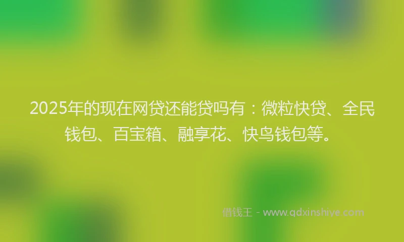 2025年的现在网贷还能贷吗有：微粒快贷、全民钱包、百宝箱、融享花、快鸟钱包等。