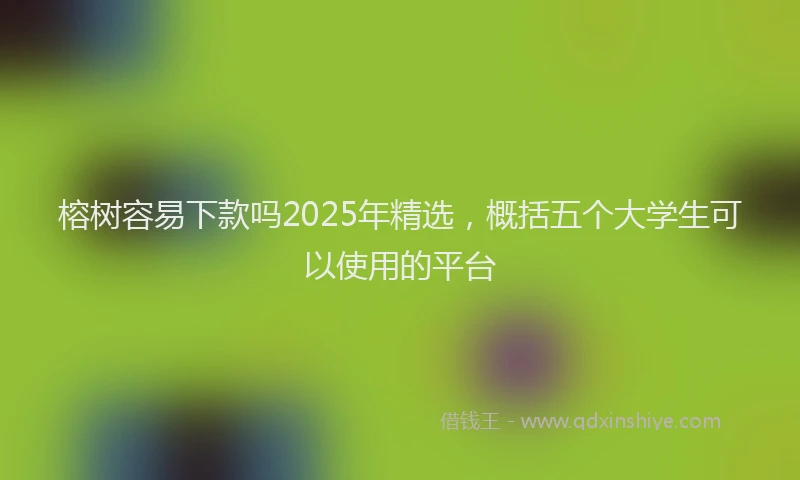 榕树容易下款吗2025年精选，概括五个大学生可以使用的平台