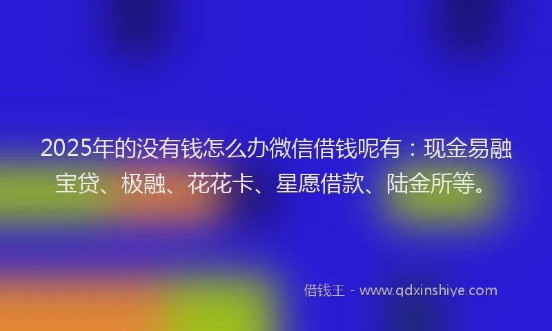 2025年的没有钱怎么办微信借钱呢有：现金易融宝贷、极融、花花卡、星愿借款、陆金所等。
