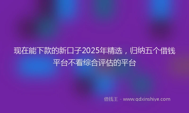 现在能下款的新口子2025年精选，归纳五个借钱平台不看综合评估的平台