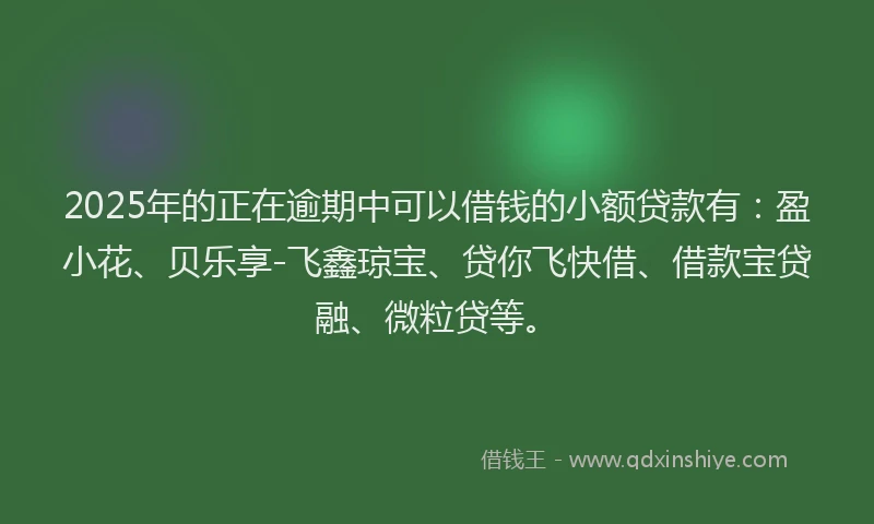 2025年的正在逾期中可以借钱的小额贷款有：盈小花、贝乐享-飞鑫琼宝、贷你飞快借、借款宝贷融、微粒贷等。