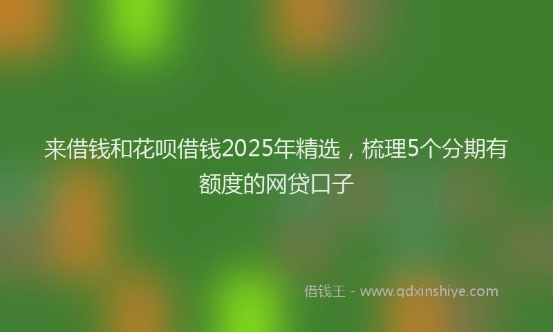 来借钱和花呗借钱2025年精选，梳理5个分期有额度的网贷口子