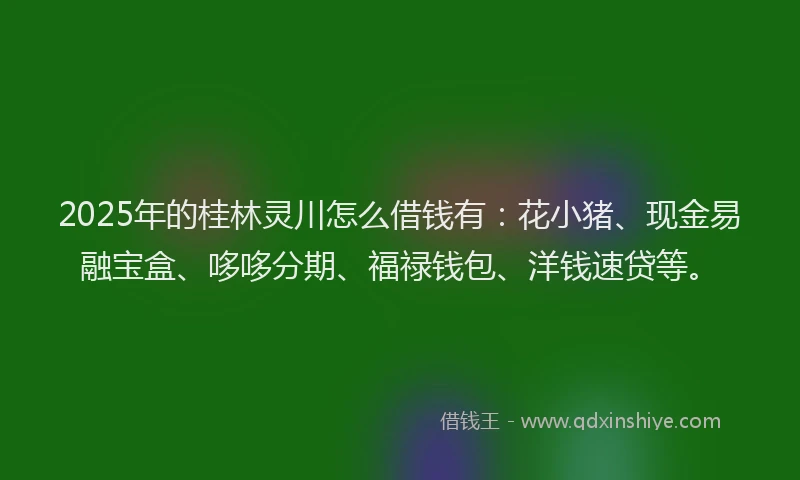 2025年的桂林灵川怎么借钱有：花小猪、现金易融宝盒、哆哆分期、福禄钱包、洋钱速贷等。