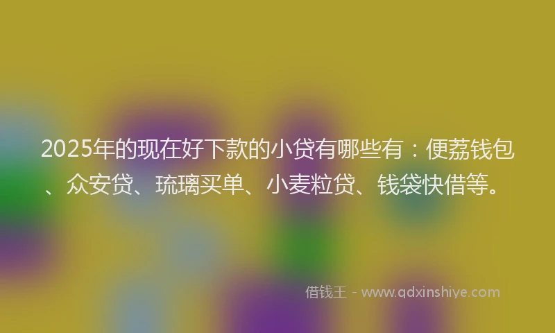 2025年的现在好下款的小贷有哪些有：便荔钱包、众安贷、琉璃买单、小麦粒贷、钱袋快借等。