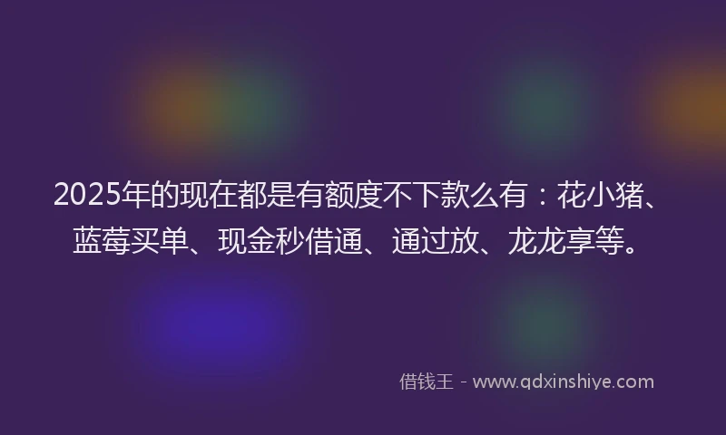 2025年的现在都是有额度不下款么有：花小猪、蓝莓买单、现金秒借通、通过放、龙龙享等。