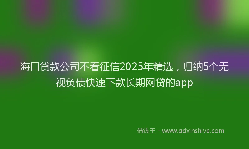海口贷款公司不看征信2025年精选，归纳5个无视负债快速下款长期网贷的app