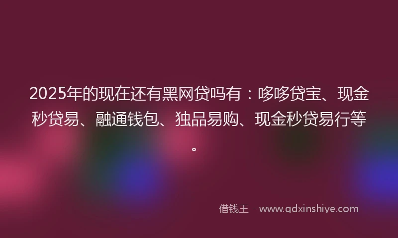 2025年的现在还有黑网贷吗有：哆哆贷宝、现金秒贷易、融通钱包、独品易购、现金秒贷易行等。