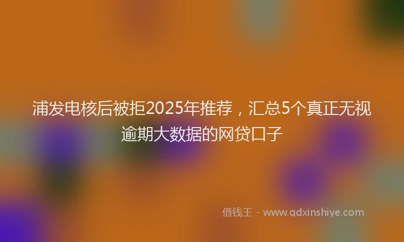 浦发电核后被拒2025年推荐，汇总5个真正无视逾期大数据的网贷口子