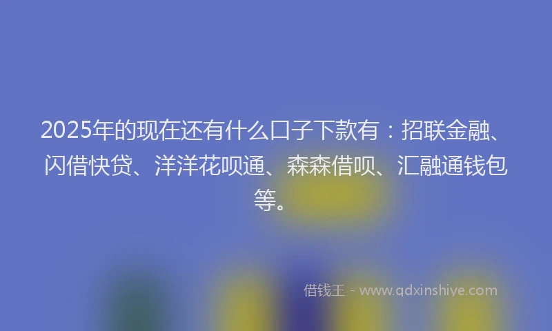 2025年的现在还有什么口子下款有：招联金融、闪借快贷、洋洋花呗通、森森借呗、汇融通钱包等。