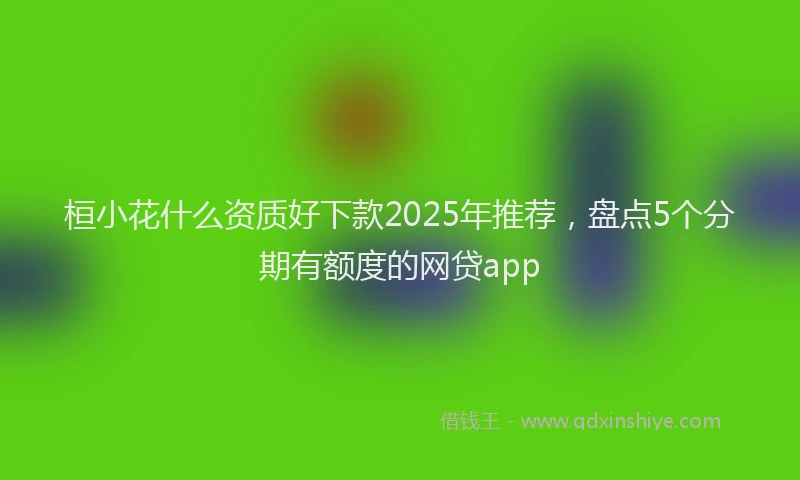 桓小花什么资质好下款2025年推荐，盘点5个分期有额度的网贷app