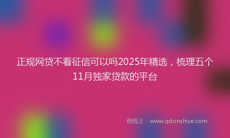 正规网贷不看征信可以吗2025年精选，梳理五个11月独家贷款的平台