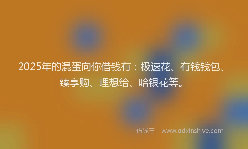 2025年的混蛋向你借钱有：极速花、有钱钱包、臻享购、理想给、哈银花等。