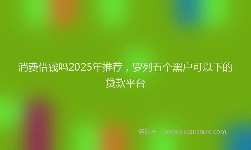 消费借钱吗2025年推荐，罗列五个黑户可以下的贷款平台