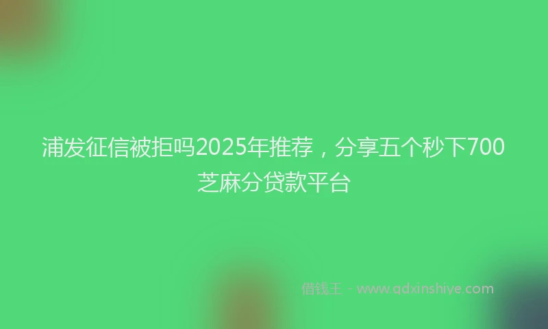 浦发征信被拒吗2025年推荐，分享五个秒下700芝麻分贷款平台
