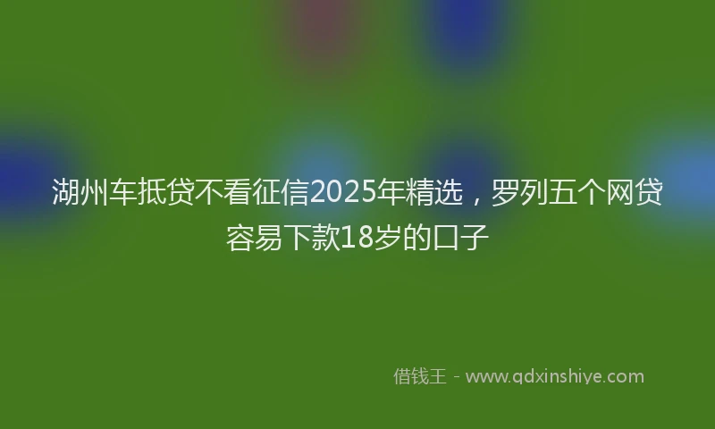 湖州车抵贷不看征信2025年精选，罗列五个网贷容易下款18岁的口子