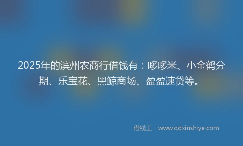 2025年的滨州农商行借钱有：哆哆米、小金鹤分期、乐宝花、黑鲸商场、盈盈速贷等。
