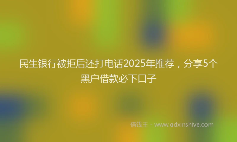 民生银行被拒后还打电话2025年推荐，分享5个黑户借款必下口子