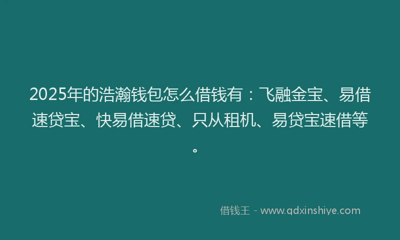 2025年的浩瀚钱包怎么借钱有：飞融金宝、易借速贷宝、快易借速贷、只从租机、易贷宝速借等。